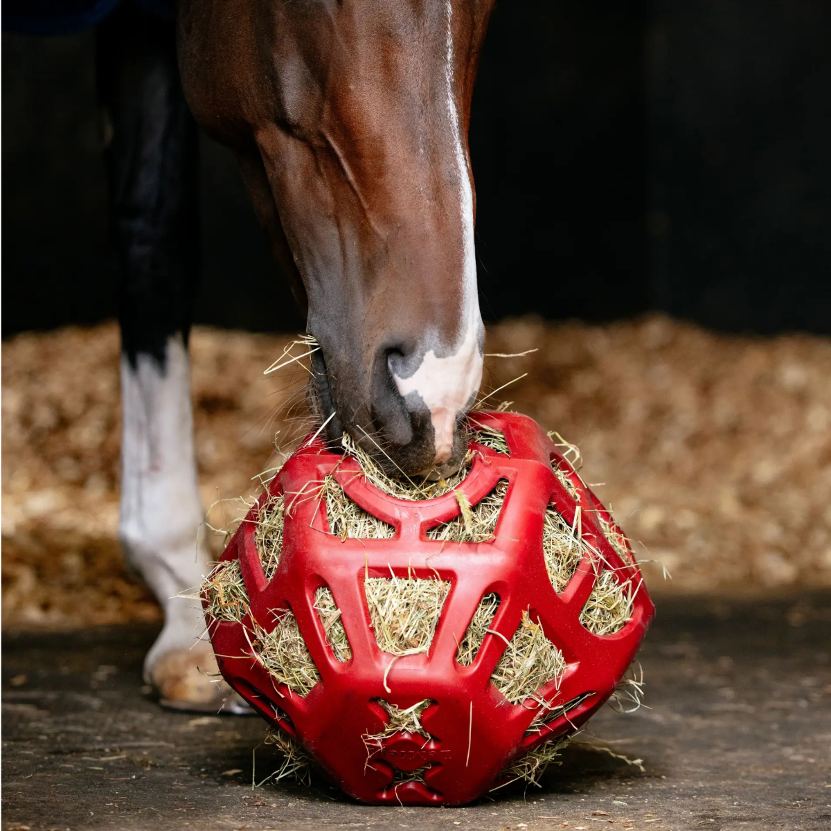 LeMieux Hay Ball