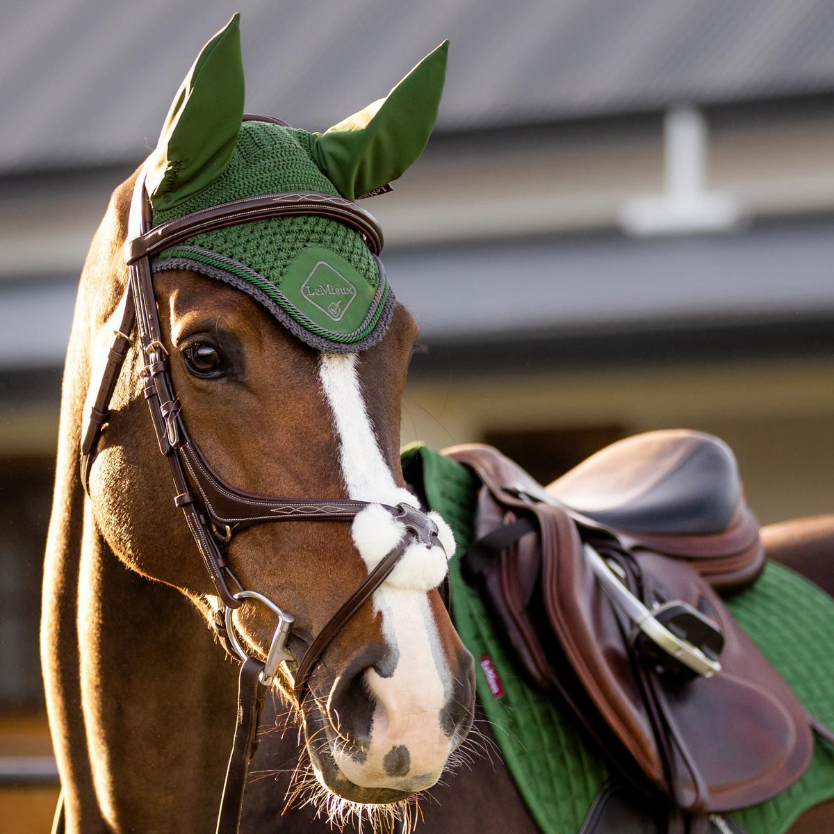 LeMieux Classic Fly Hood