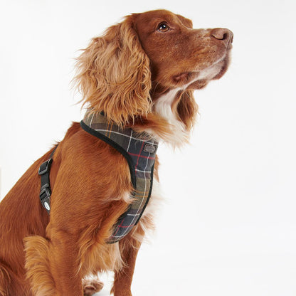 Barbour Tartan Dog Harness