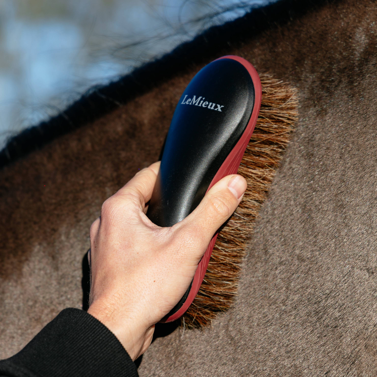 LeMieux Body Brush