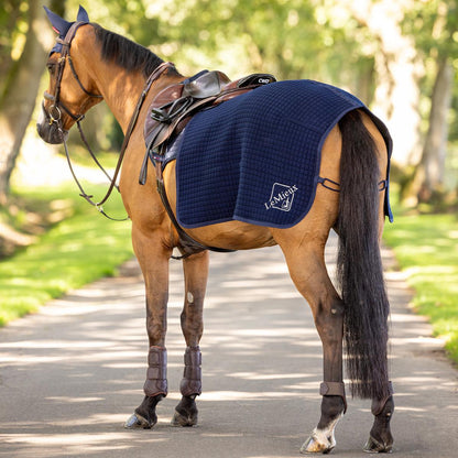 LeMieux Arika Clima-Tek Quarter Sheet