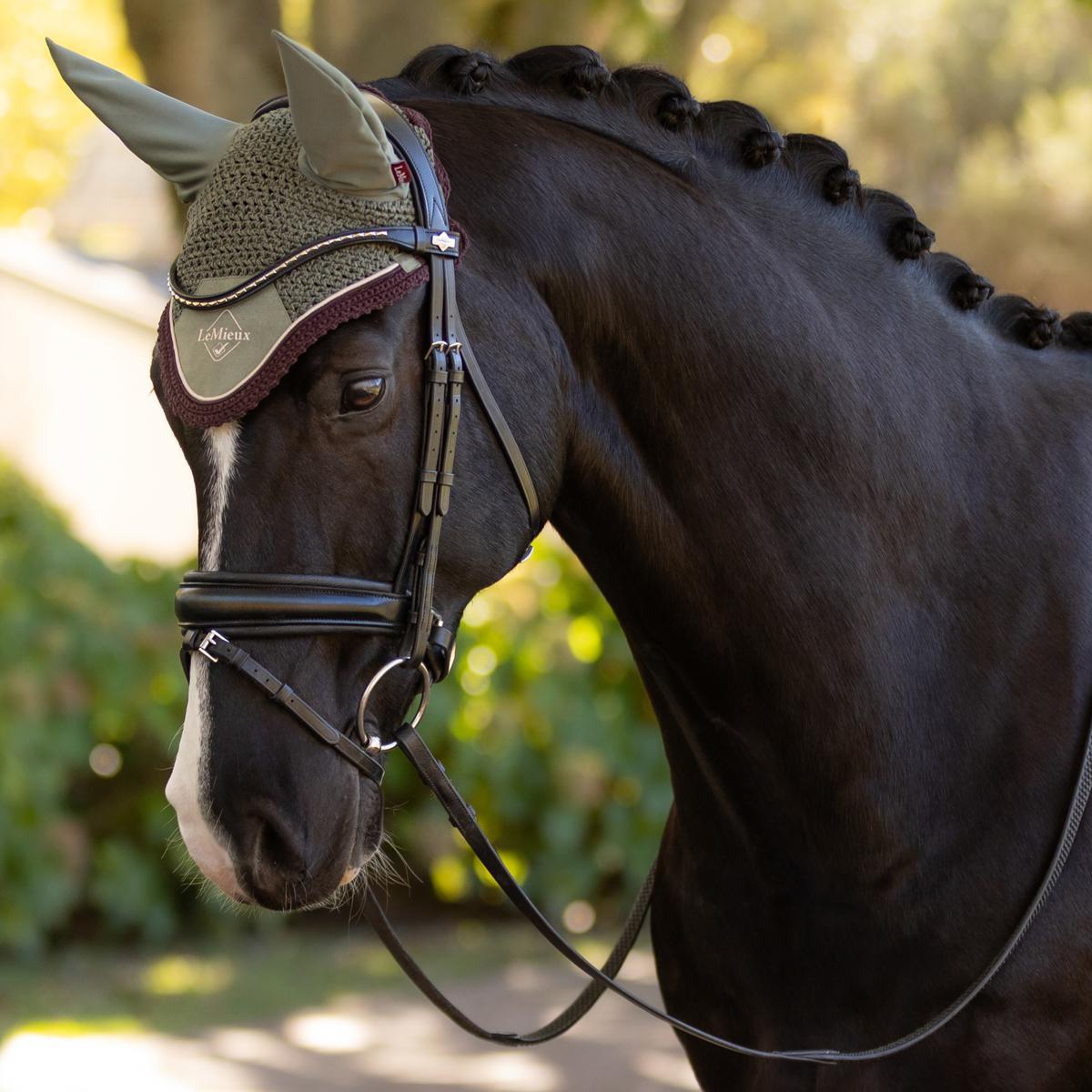 LeMieux Classic Fly Hood