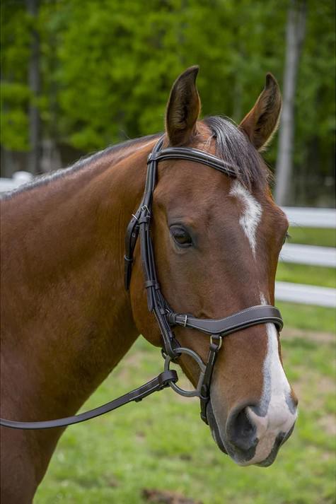 Henri de Rivel Pro Anatomical Bridle - Thumbnail 3