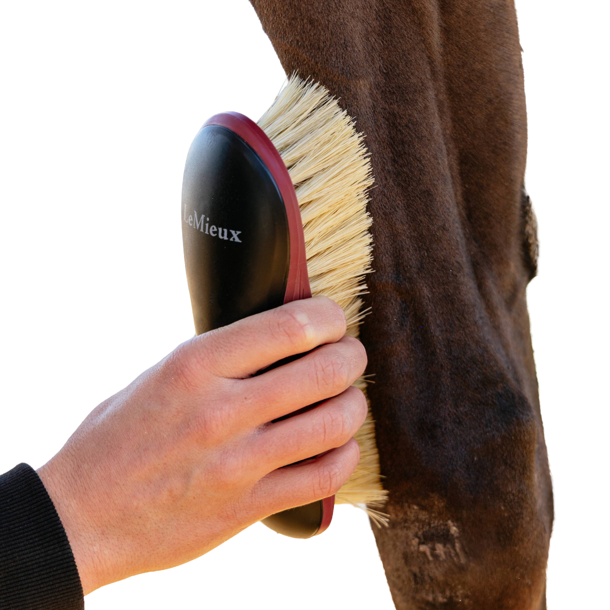 LeMieux Dandy Brush