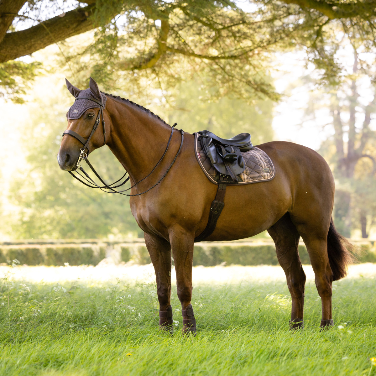 LeMieux Heritage Check Jump Square Saddle Pad-cocoa-model view