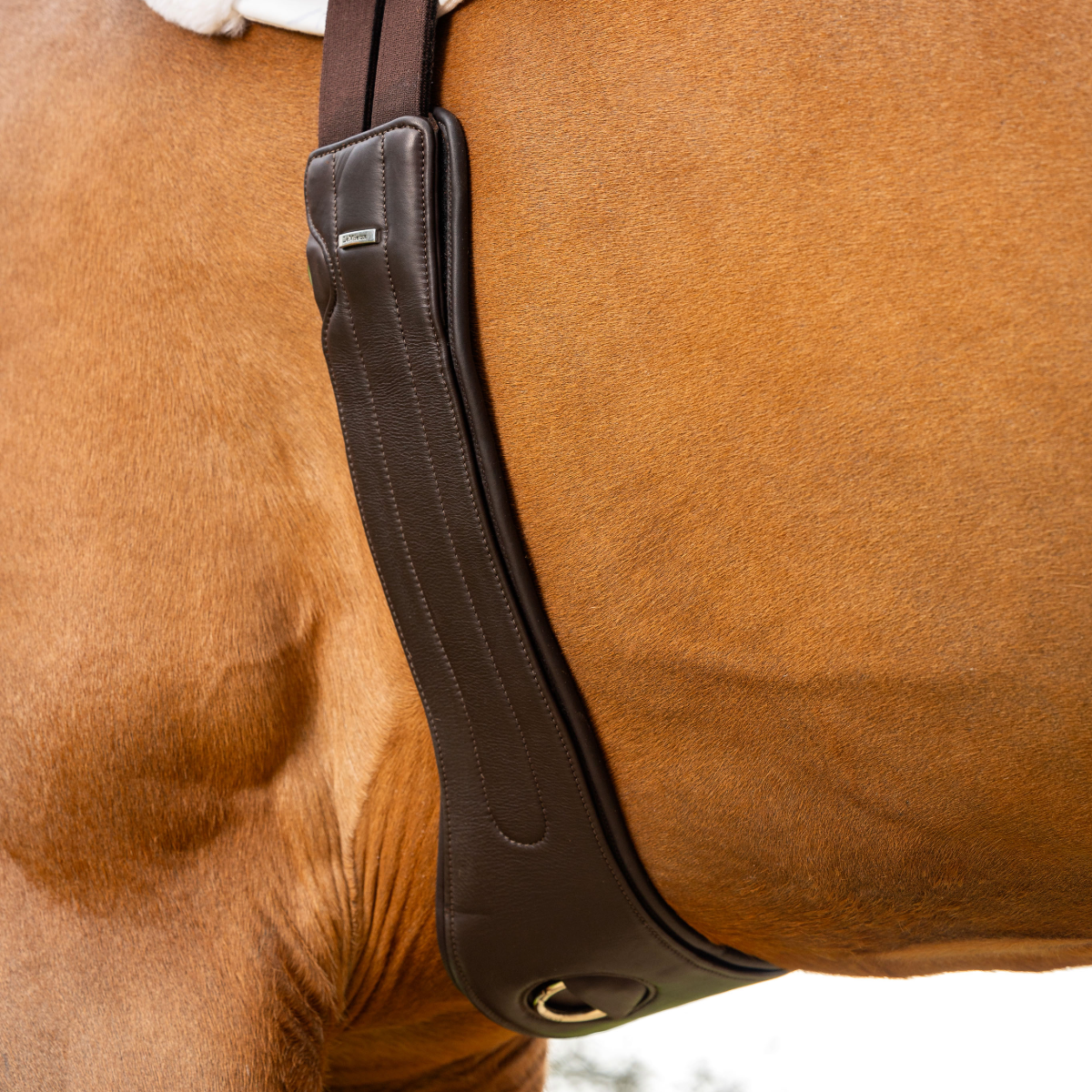 LeMieux Hunter Girth with Detachable Non-Slip Liner
