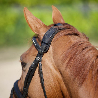 Back on Track Poll Cover with Straps