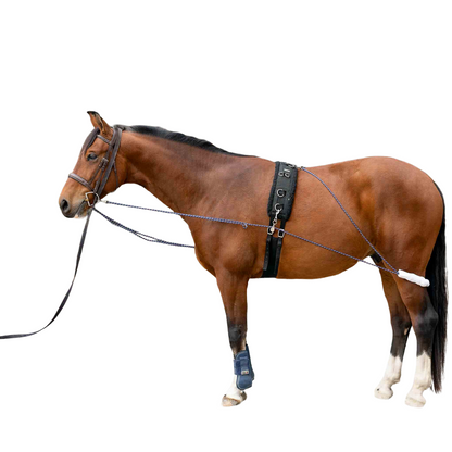 Equinavia Horze Lunging Aid