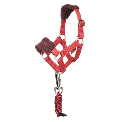 LeMieux Toy Pony Vogue Headcollar with Lead Rope