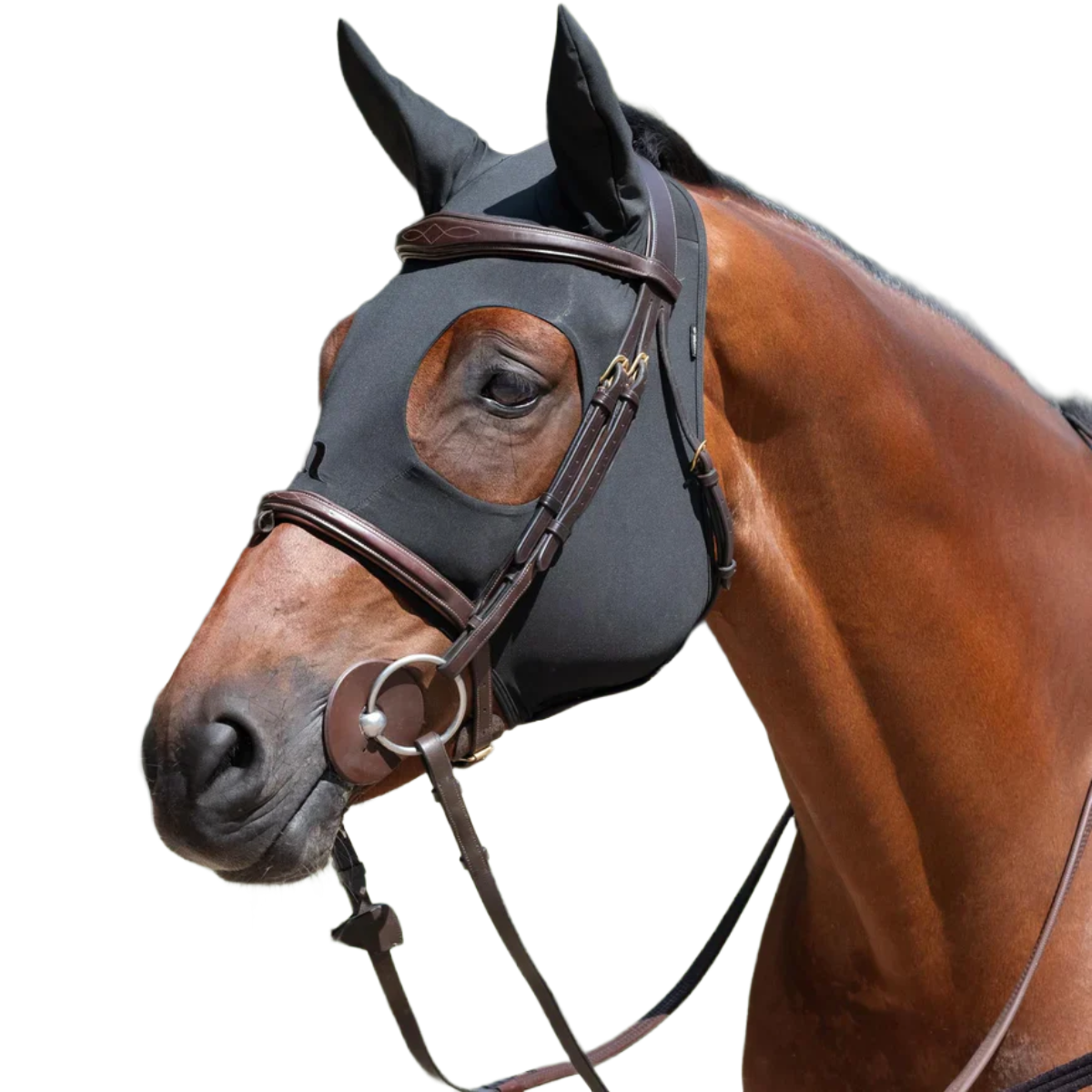 Back On Track Spirit Soothing Hood with Ears