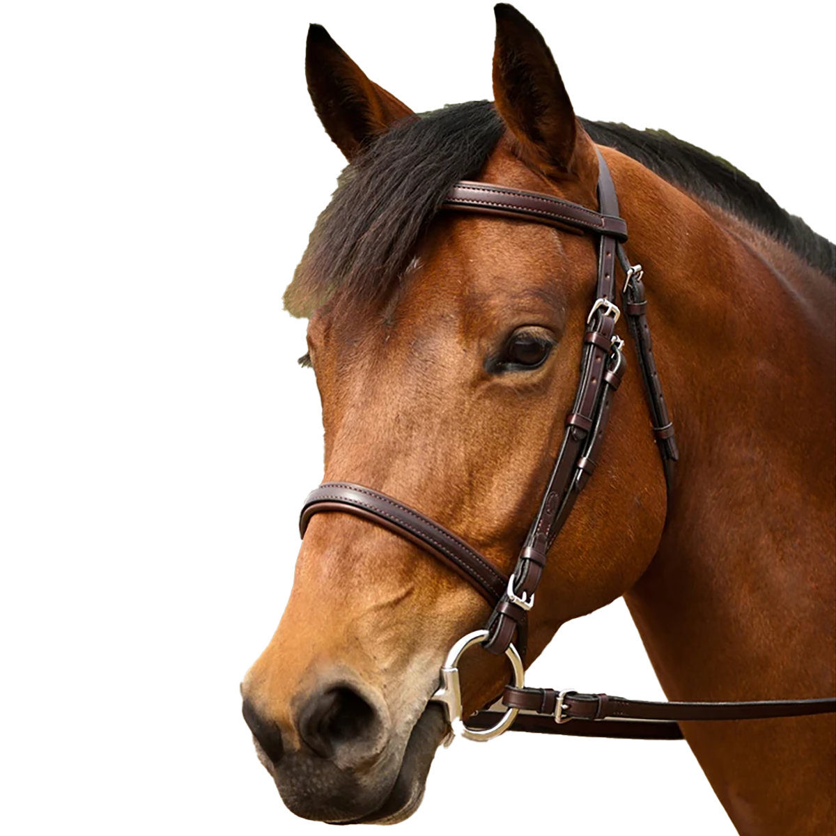 Nunn Finer Event Bridle