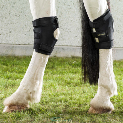 Back on Track Hock Boots with Hole