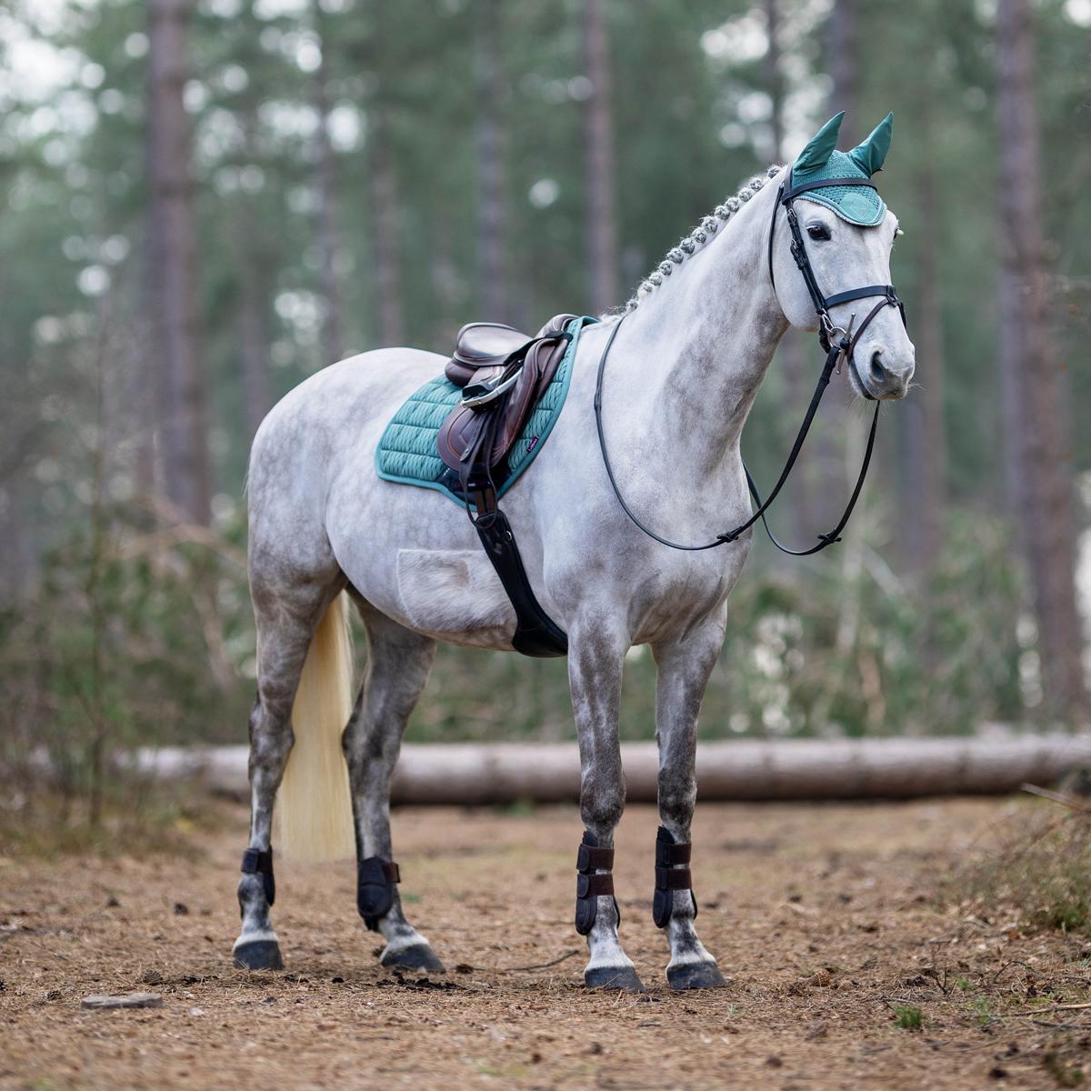 LeMieux Classic Fly Hood