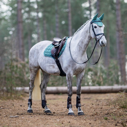 LeMieux Classic Fly Hood