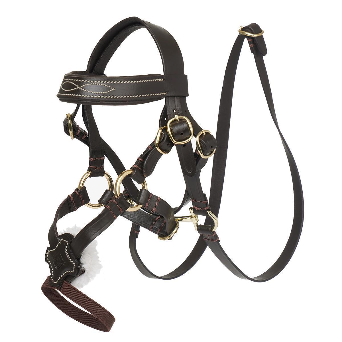 LeMieux Toy Pony Grackle Bridle