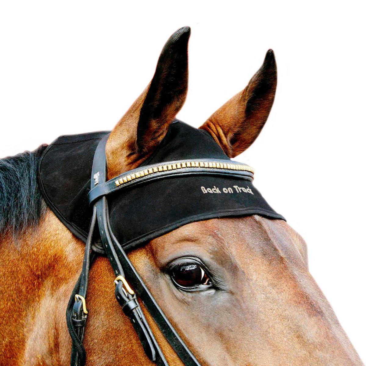 Back on Track Equine Head Cap