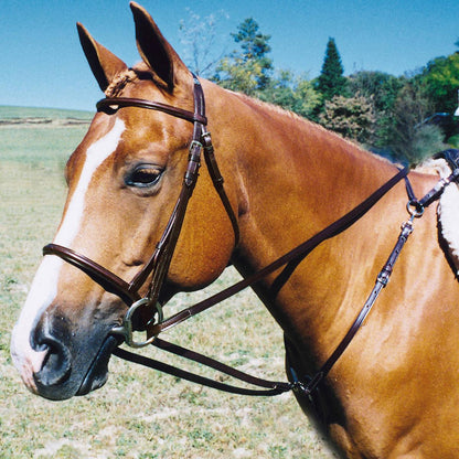 Tory Leather Draw Reins with Breastplate Snaps