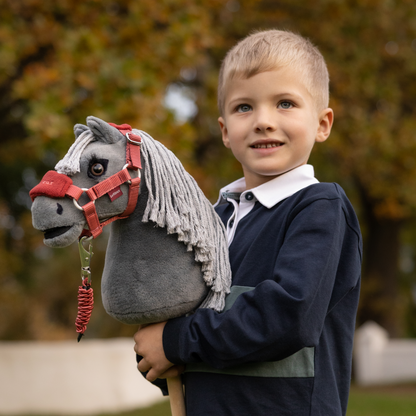 LeMieux Mini Hobby Horse