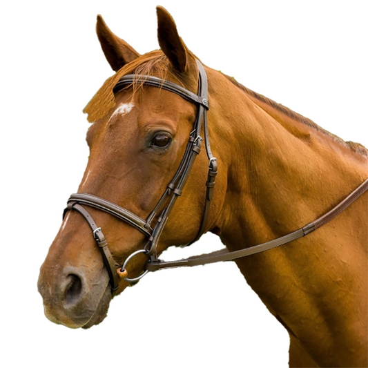 HDR Mono Crown Bridle with Flash and Rubber Reins