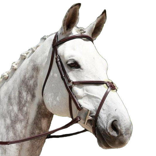 Red Barn by KL Select Equinox Figure 8 Bridle