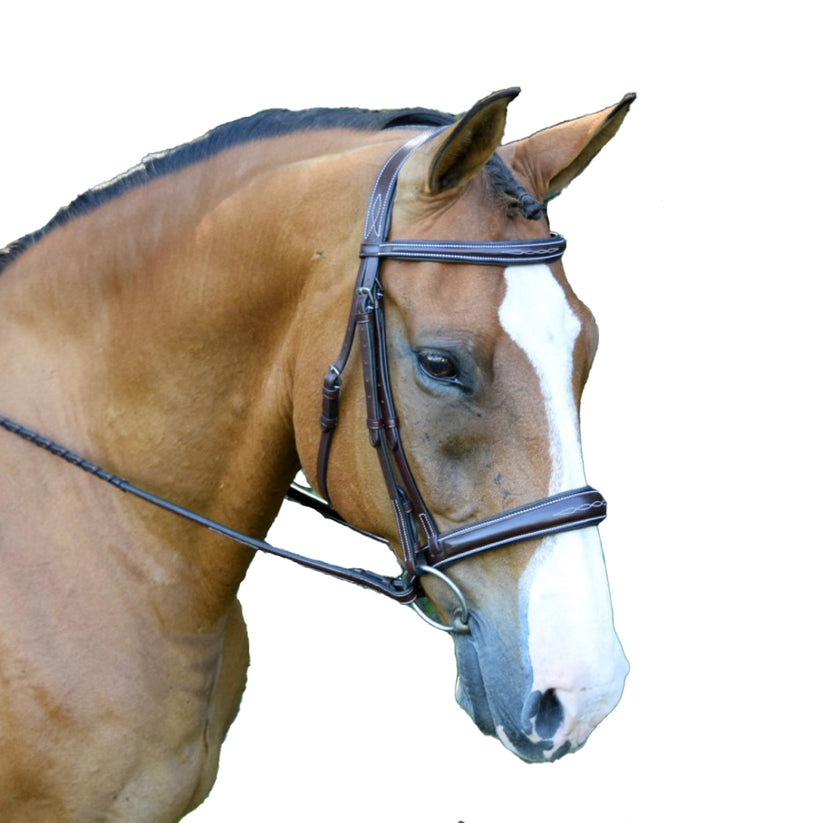 KL Select Hampton Hunter Bridle