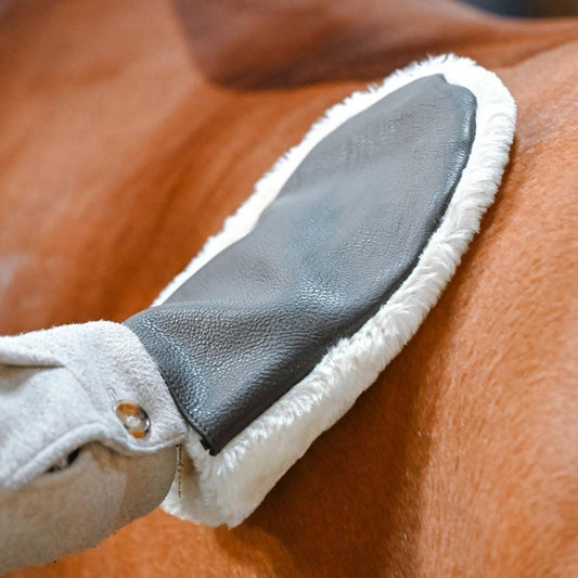 Jump'in Grooming Glove