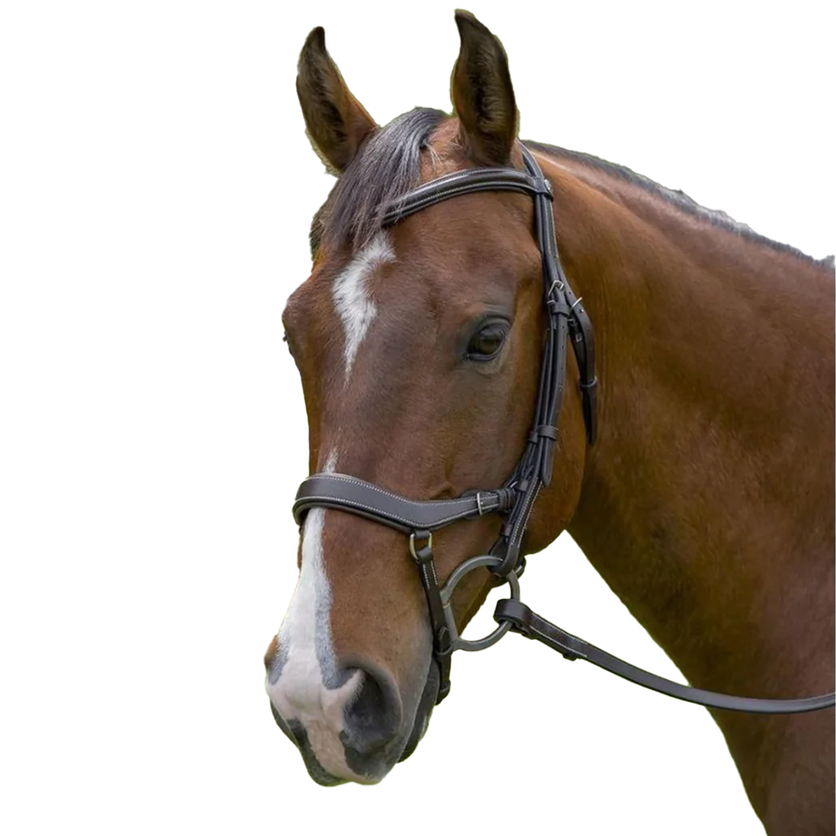 Henri de Rivel Pro Anatomical Bridle - Thumbnail 5