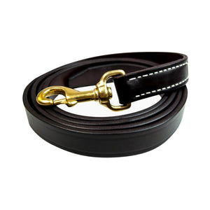 Walsh Leather Lead with Snap