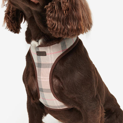 Barbour Tartan Dog Harness