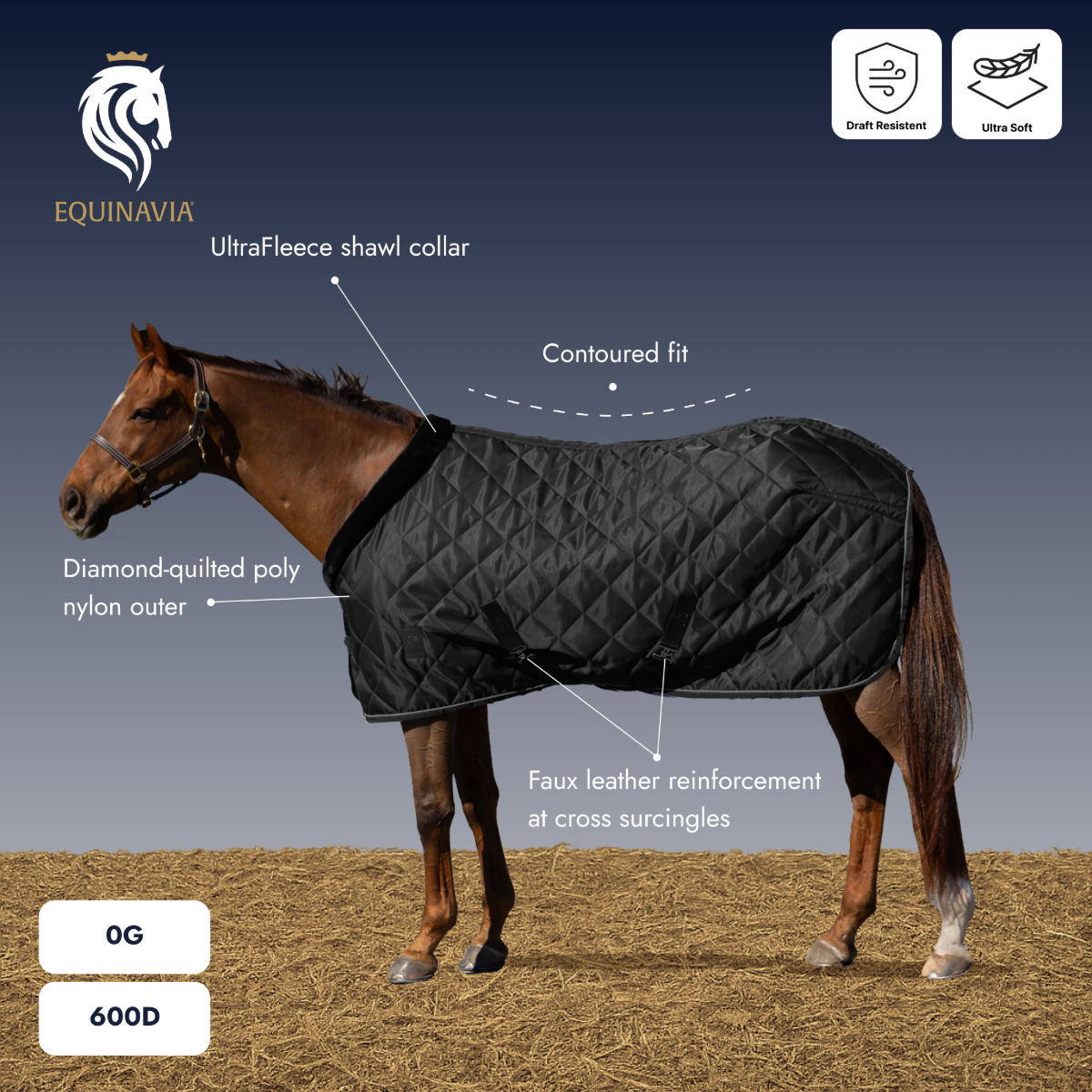 Equinavia Luksus Premium Stable Blanket horse model side view in black