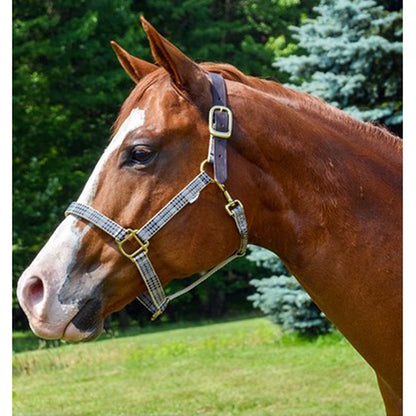 5/A Baker Breakaway Halter with Full Leather Crown-Horse Model-Side View