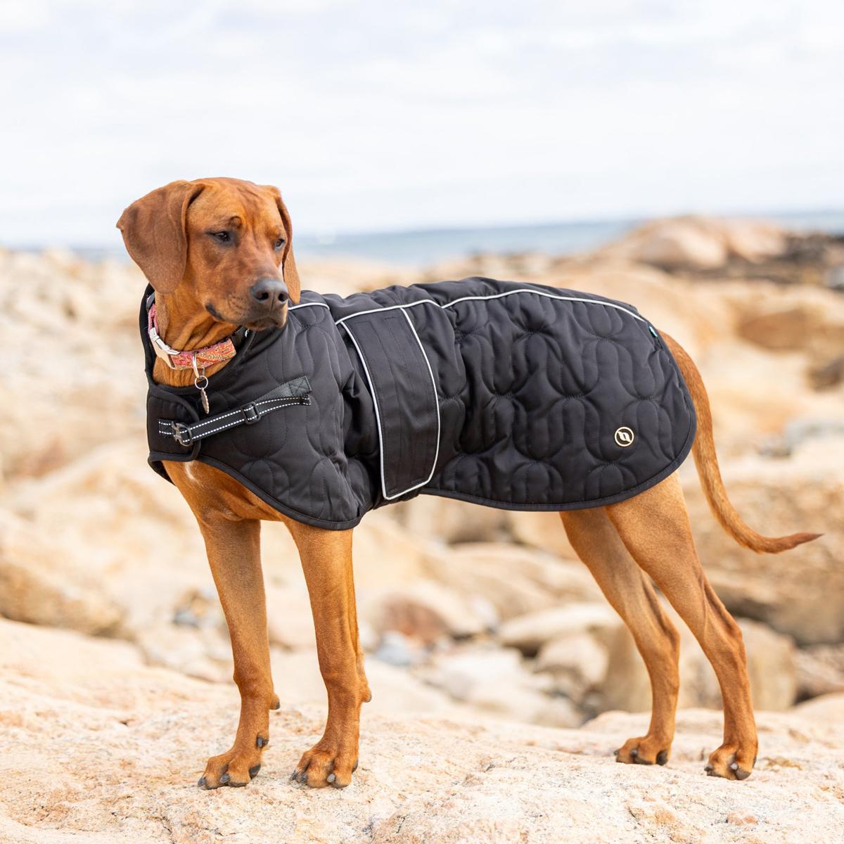 Back on Track Deep Nights Dog Coat
