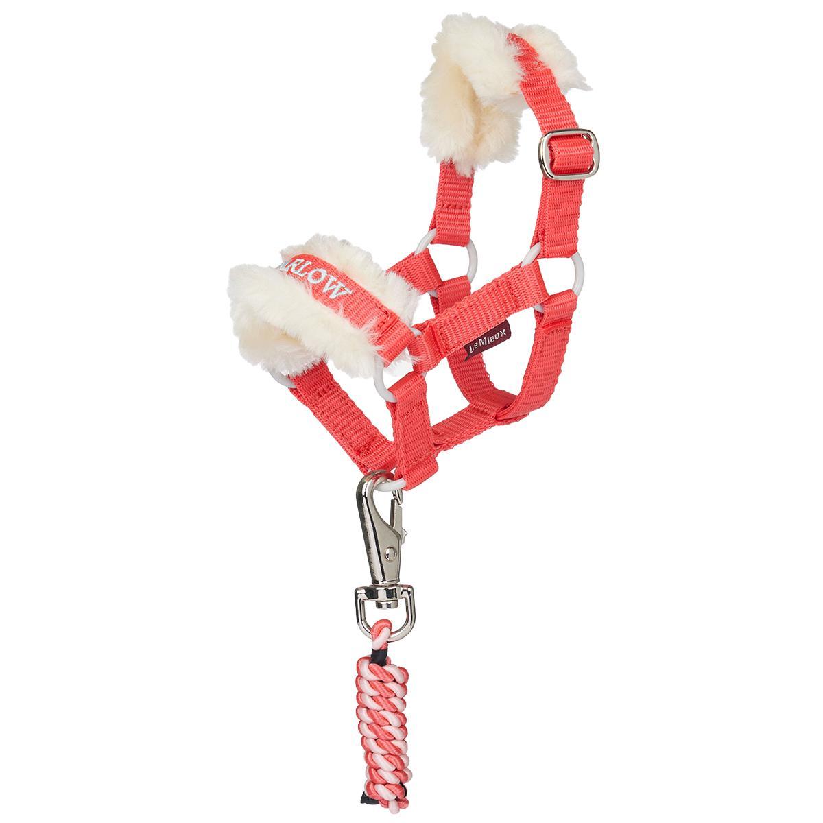 LeMieux Harlow Toy Pony Headcollar & Leadrope