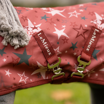 LeMieux Toy Pony Printed Turnout Rug-Spiced Earth-Buckle Closeup View