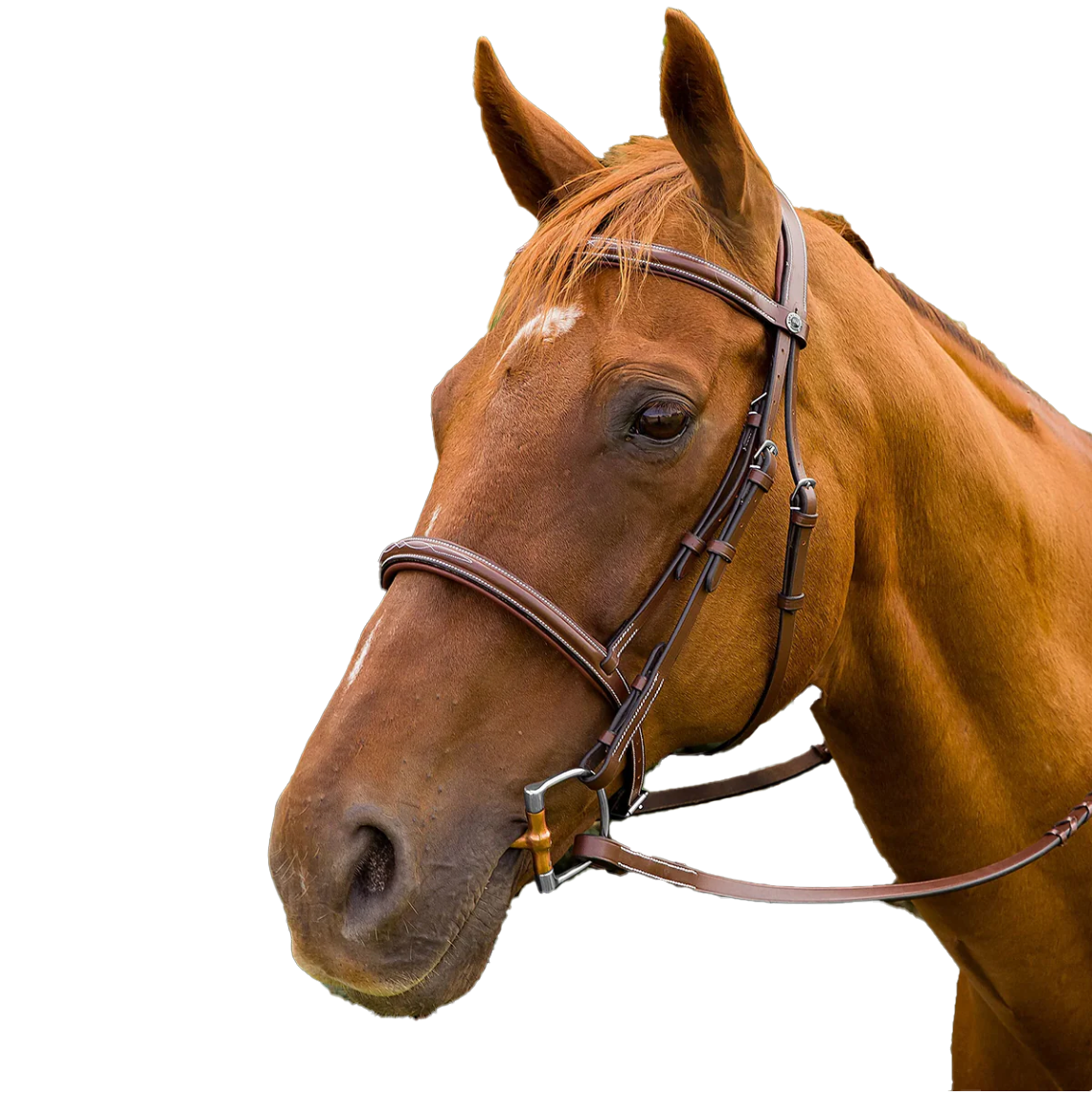 HDR Pro Mono Crown Padded Fancy Bridle