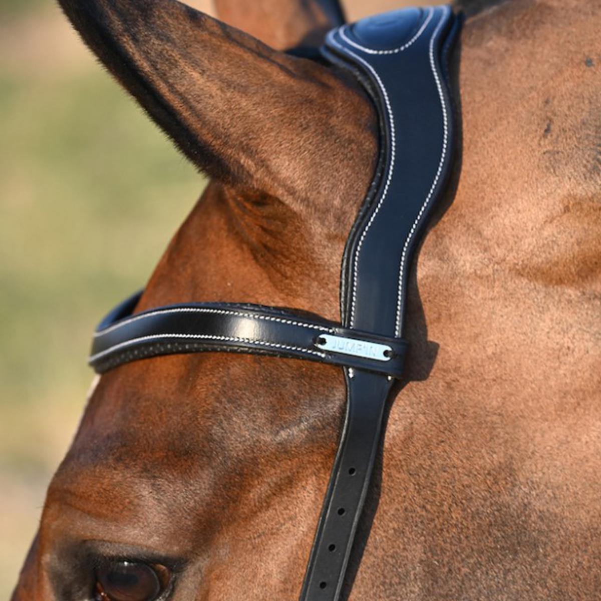 Jump'in Bitless Bridle - One Collection