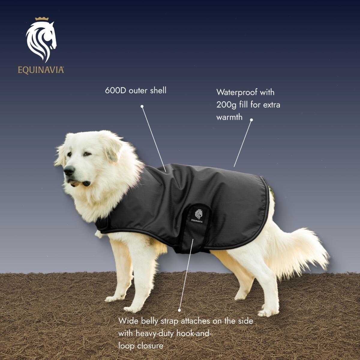 Equinavia Norse Dog Turnout Blanket 200g