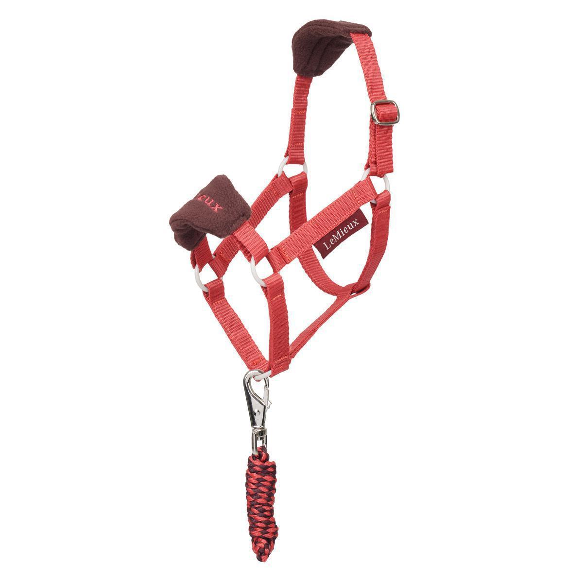 LeMieux Hobby Horse Vogue Headcollar with Leadrope