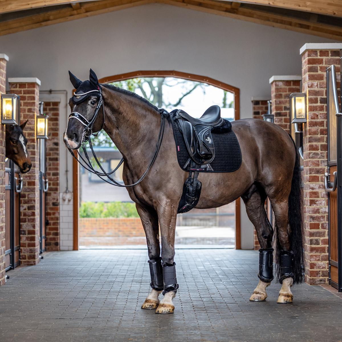 LeMieux Suede Dressage Square Pad
