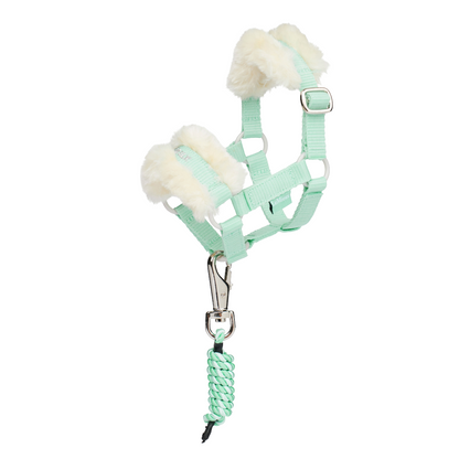 LeMieux Harlow Toy Pony Headcollar & Leadrope full view in softmint