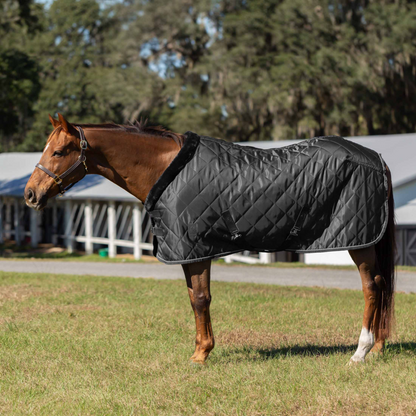 Equinavia Luksus Premium Stable Blanket horse model side view in black