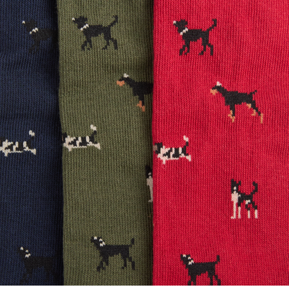 Barbour Dog Sock Gift Set, red ,green, blue, close up view