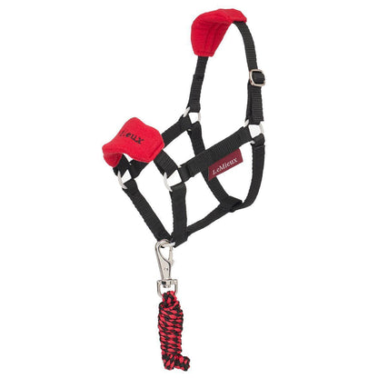 LeMieux Hobby Horse Vogue Headcollar with Leadrope