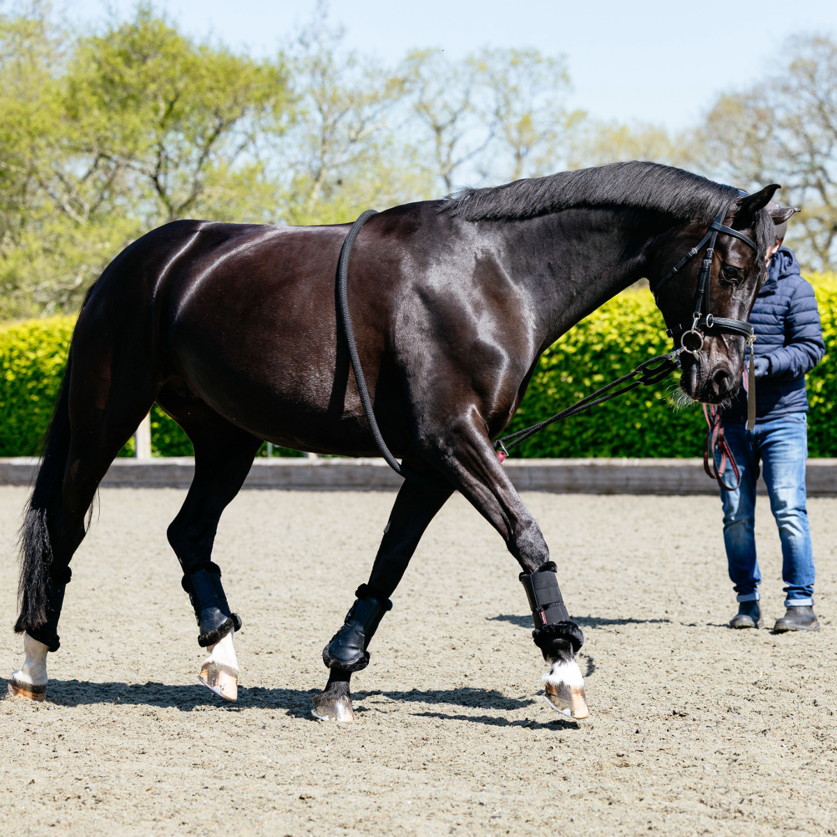 LeMieux Rope Lunging Aid