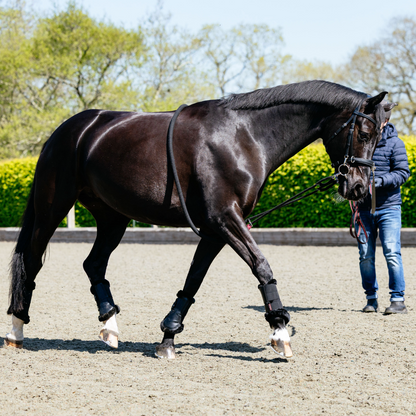 LeMieux Rope Lunging Aid