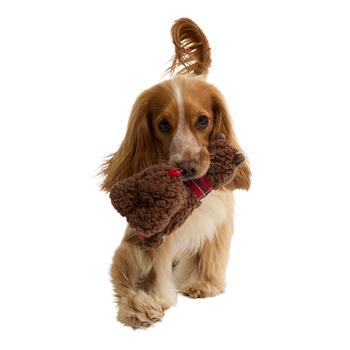 Barbour Dog Llama Toy