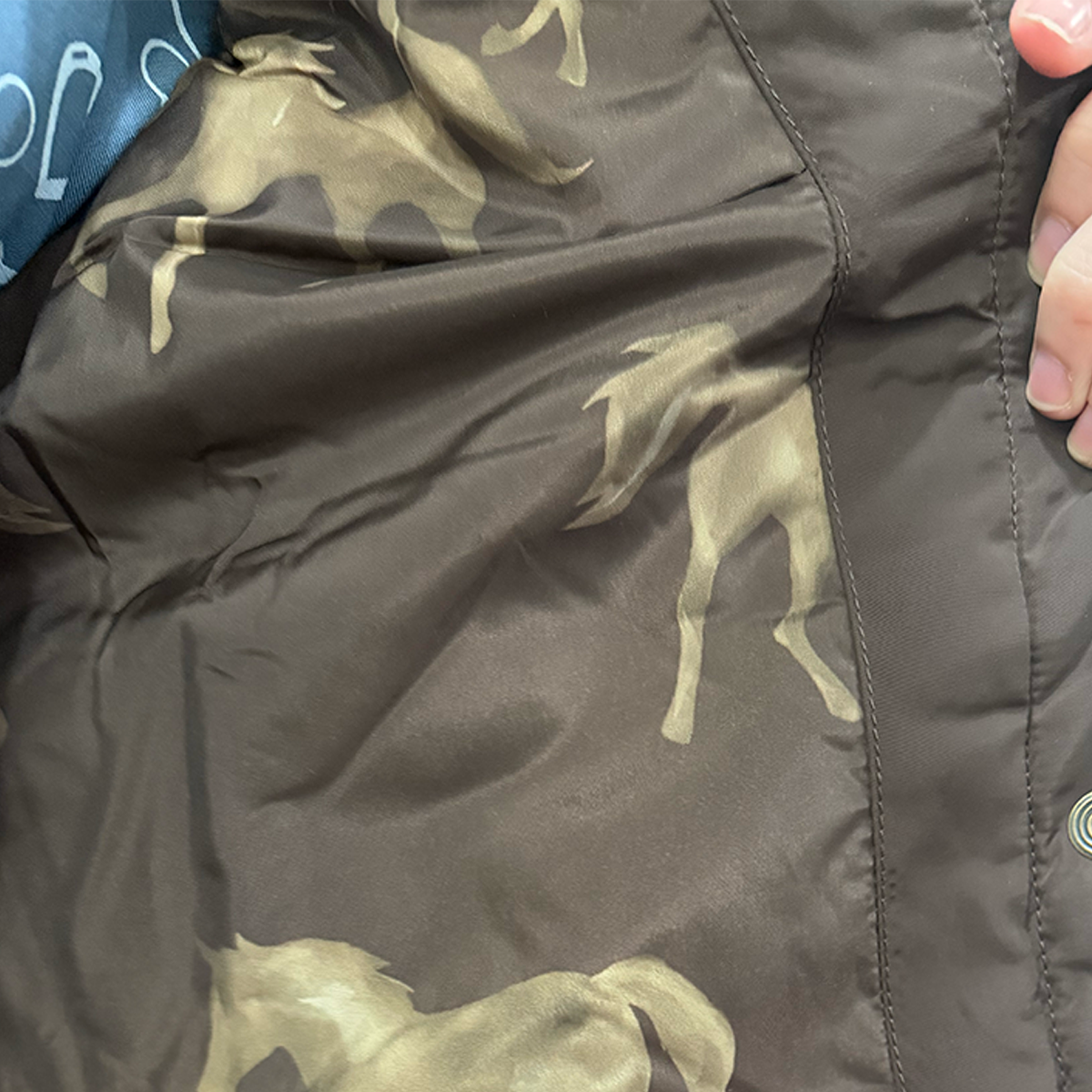 Ariat Women's Woodside Vest