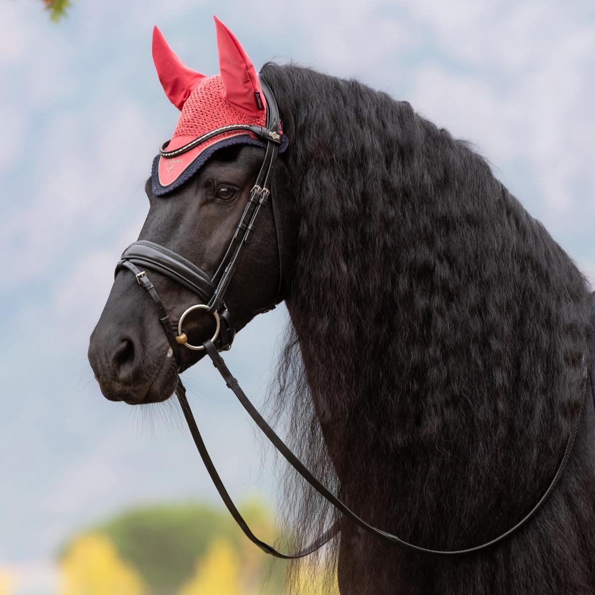 LeMieux Classic Fly Hood