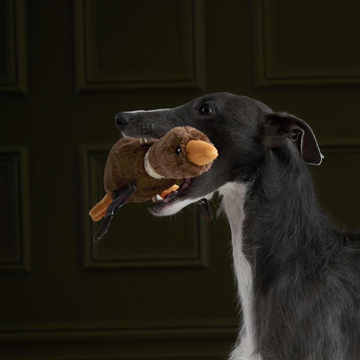 Barbour Flying Duck Dog Toy