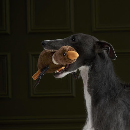 Barbour Flying Duck Dog Toy
